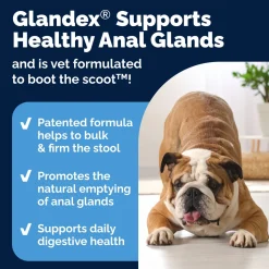 Glandex Anal Gland Support Peanut Butter Soft Chews for Dogs