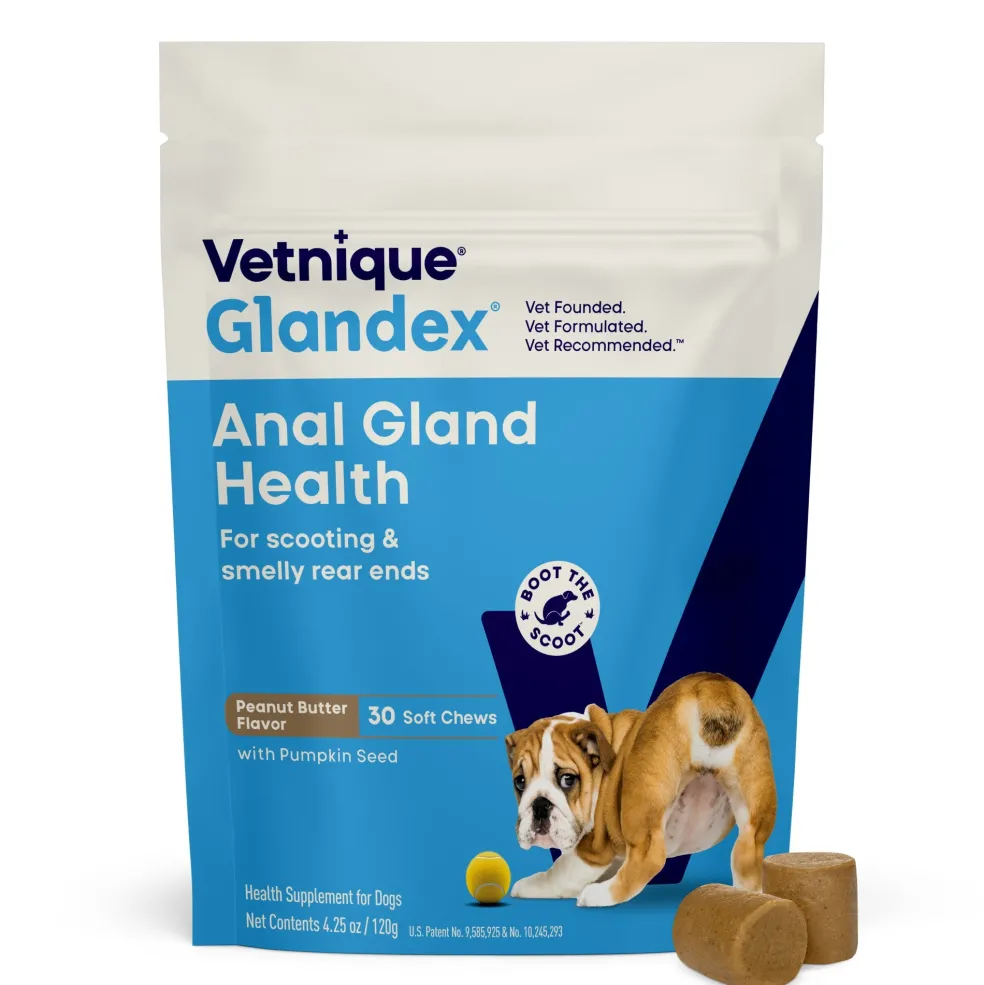 Glandex Anal Gland Support Peanut Butter Soft Chews for Dogs