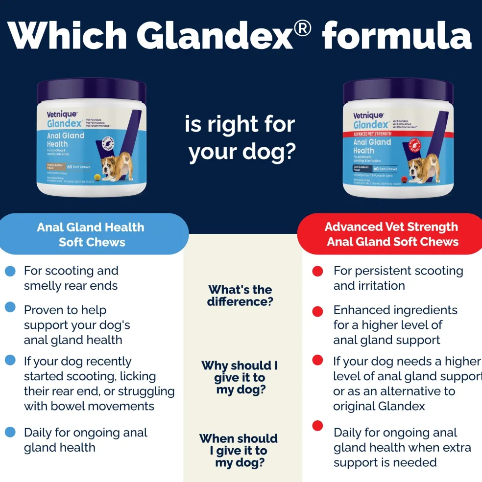 Glandex Anal Gland Support Peanut Butter Soft Chews for Dogs