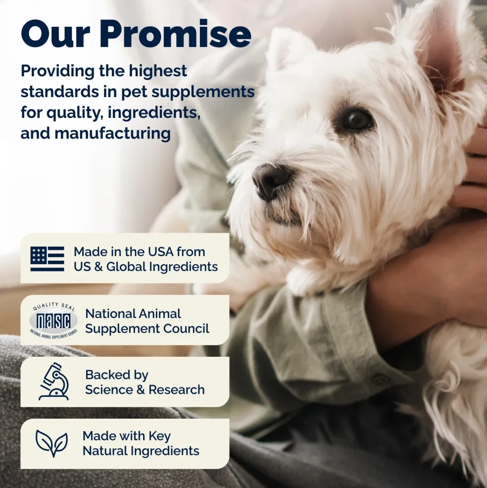 Glandex Anal Gland Support Peanut Butter Soft Chews for Dogs