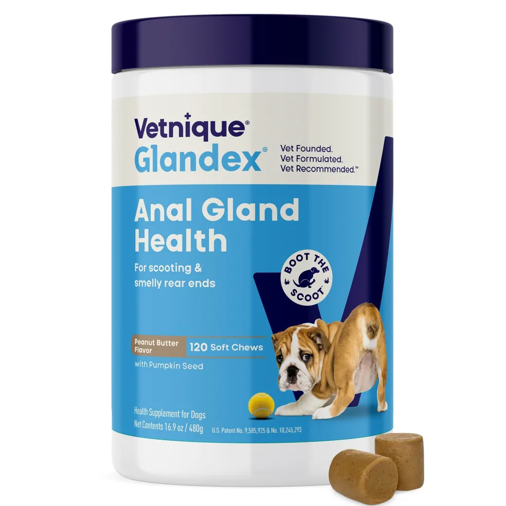 Glandex Anal Gland Support Peanut Butter Soft Chews for Dogs