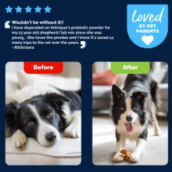 Glandex Daily Prebiotic & Probiotic Supplement Powder for Dogs, Pork Flavored