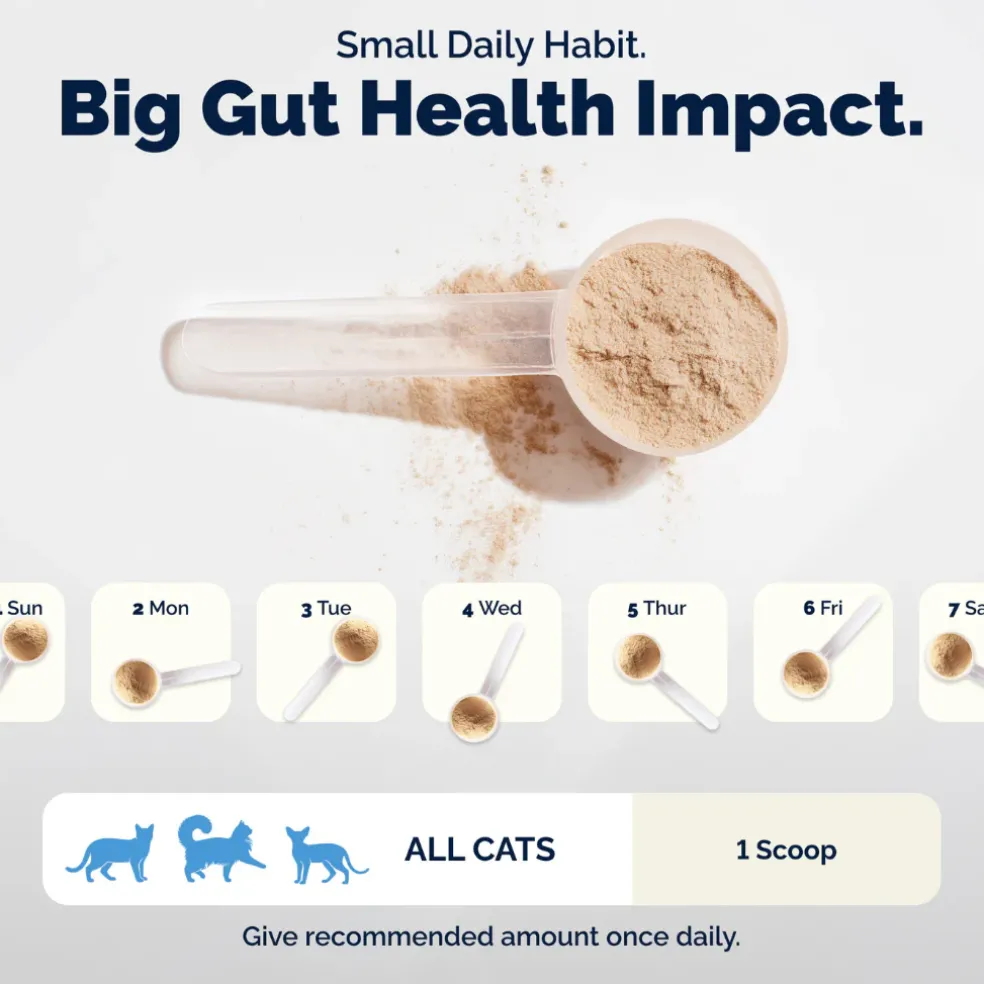 Glandex Daily Prebiotic & Probiotic Powder for Cats, Tuna Flavor, 4 oz