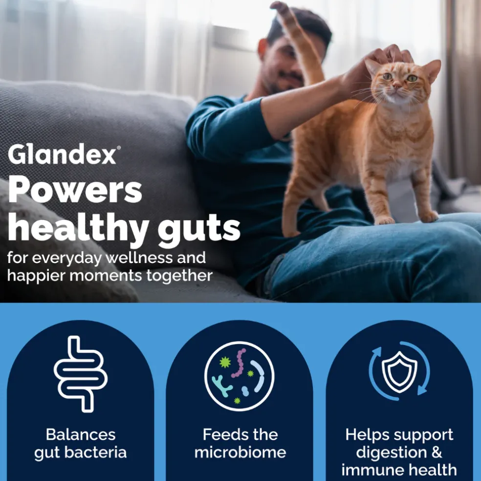 Glandex Daily Prebiotic & Probiotic Powder for Cats, Tuna Flavor, 4 oz