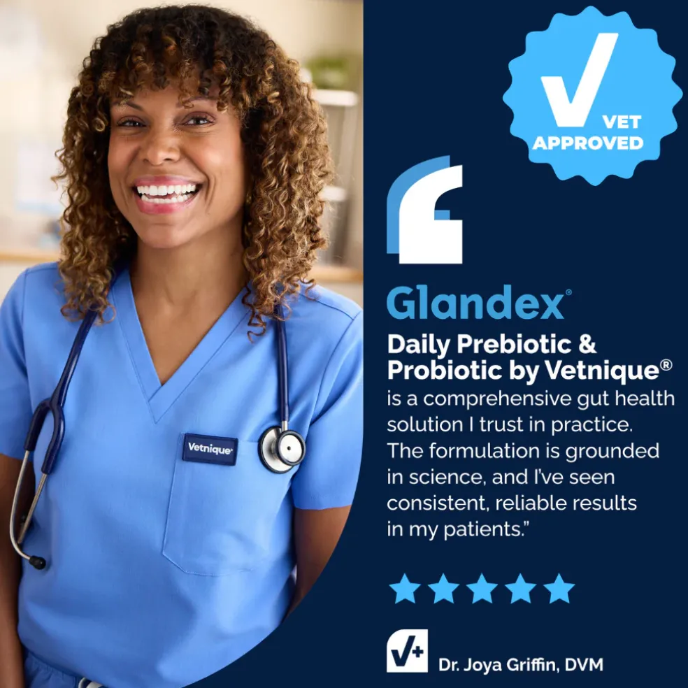 Glandex Daily Prebiotic & Probiotic Powder for Cats, Tuna Flavor, 4 oz