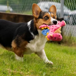 goDog Dragons with Chew Guard Technology Tough Plush Toy For Dogs, Coral