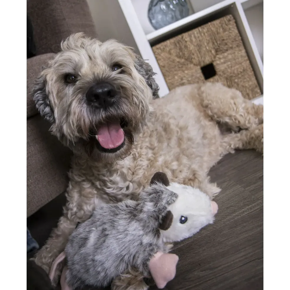 GoDog Flatz Opossum Squeaky Plush Dog Toy, Large