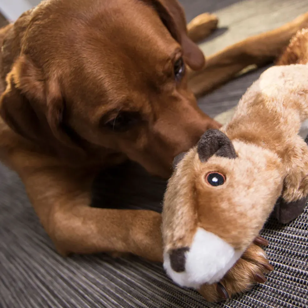 GoDog Flatz Squirrel Squeaky Plush Dog Toy, Large
