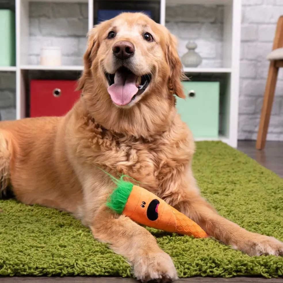 GoDog Tough N Texture Carrot Dog Toy, Orange
