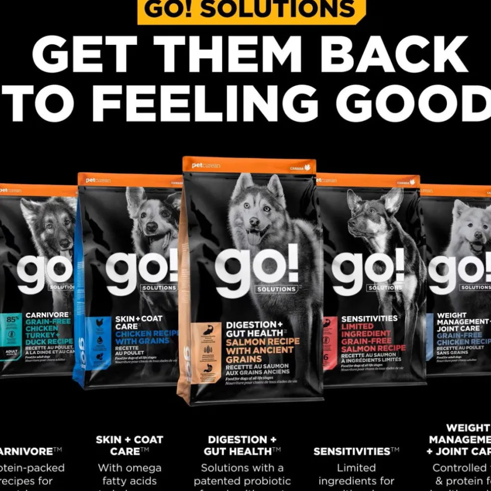 Go! Solutions Benefit Chews Digestion + Gut Health Salmon Recipe Soft & Chewy Treats for Dogs (6 oz)