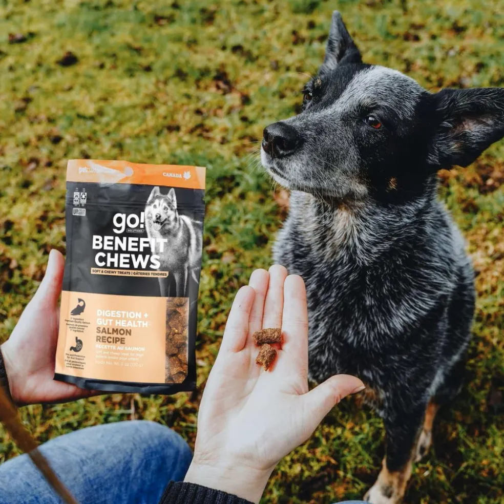 Go! Solutions Benefit Chews Digestion + Gut Health Salmon Recipe Soft & Chewy Treats for Dogs (6 oz)