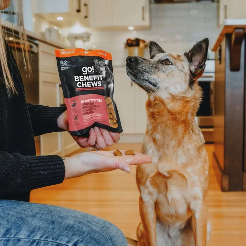 Go! Solutions Benefit Chews Sensitivies Limited Ingredient Salmon Recipe Soft & Chewy Treats for Dogs (6 oz)