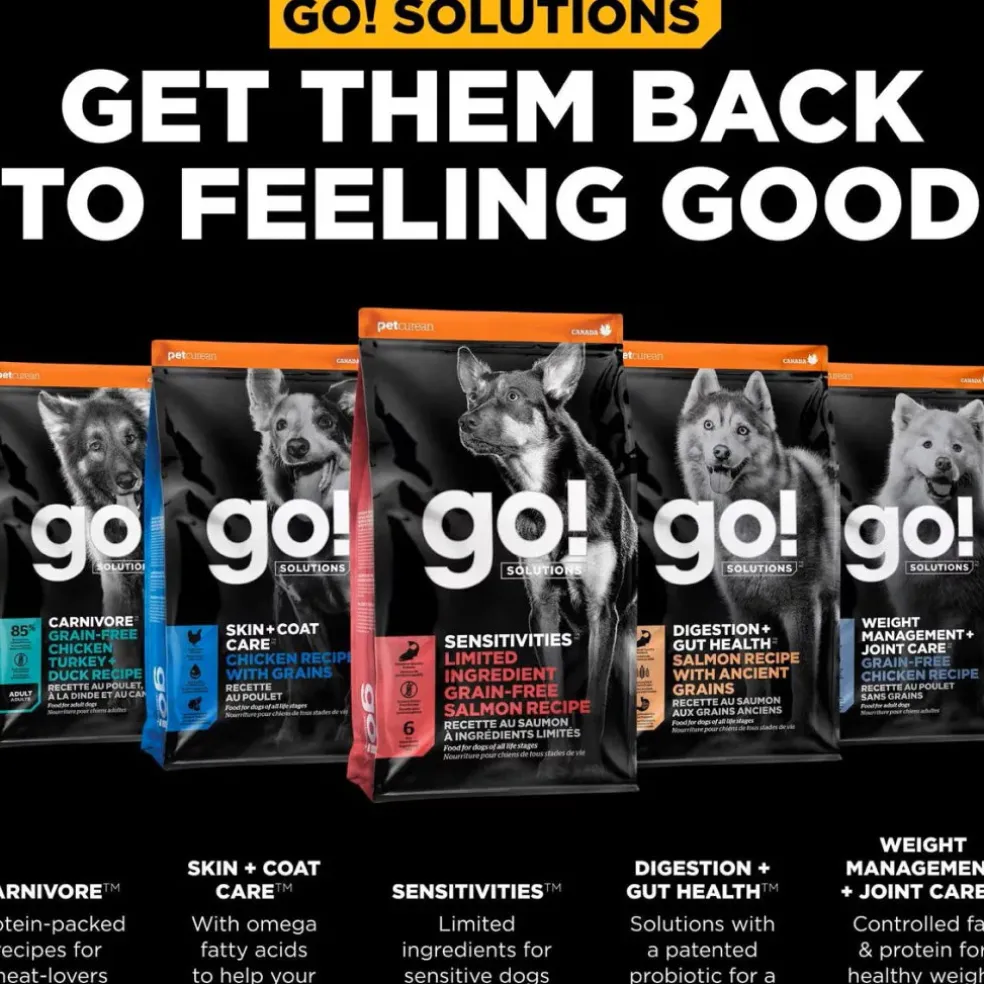 Go! Solutions Benefit Chews Sensitivies Limited Ingredient Salmon Recipe Soft & Chewy Treats for Dogs (6 oz)