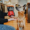 Go! Solutions Benefit Chews Skin + Coat Care Lamb Recipe Soft & Chewy Treats for Dogs (6 oz)