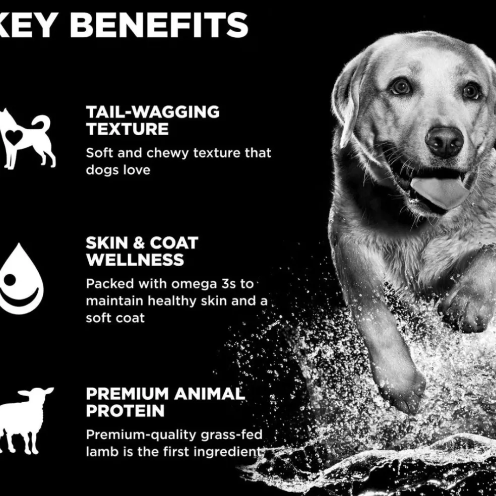 Go! Solutions Benefit Chews Skin + Coat Care Lamb Recipe Soft & Chewy Treats for Dogs (6 oz)