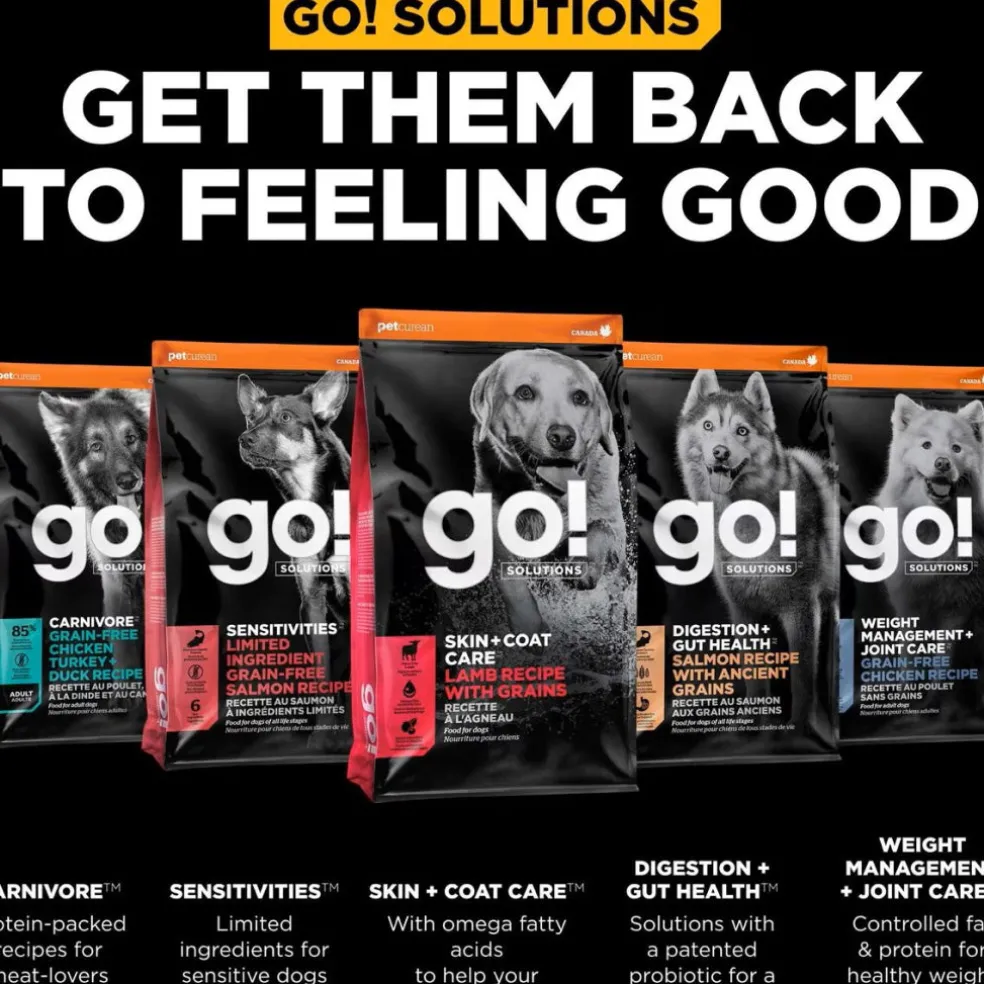 Go! Solutions Benefit Chews Skin + Coat Care Lamb Recipe Soft & Chewy Treats for Dogs (6 oz)