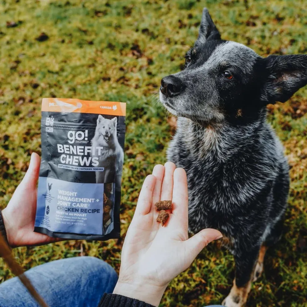 Go! Solutions Benefit Chews Weight Management + Joint Care Chicken Recipe Soft & Chewy Treats for Dogs (6 oz)