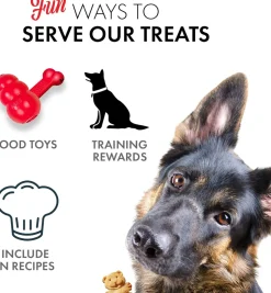 Grandma Lucy's Organic Oven Baked Pumpkin Treats For Dogs (14 oz)
