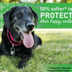Greenies Aging Care Large Dental Dog Treats, 17 count