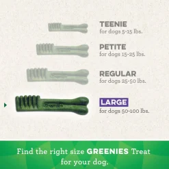 GREENIES Blueberry Large Dental Treats, 8 count