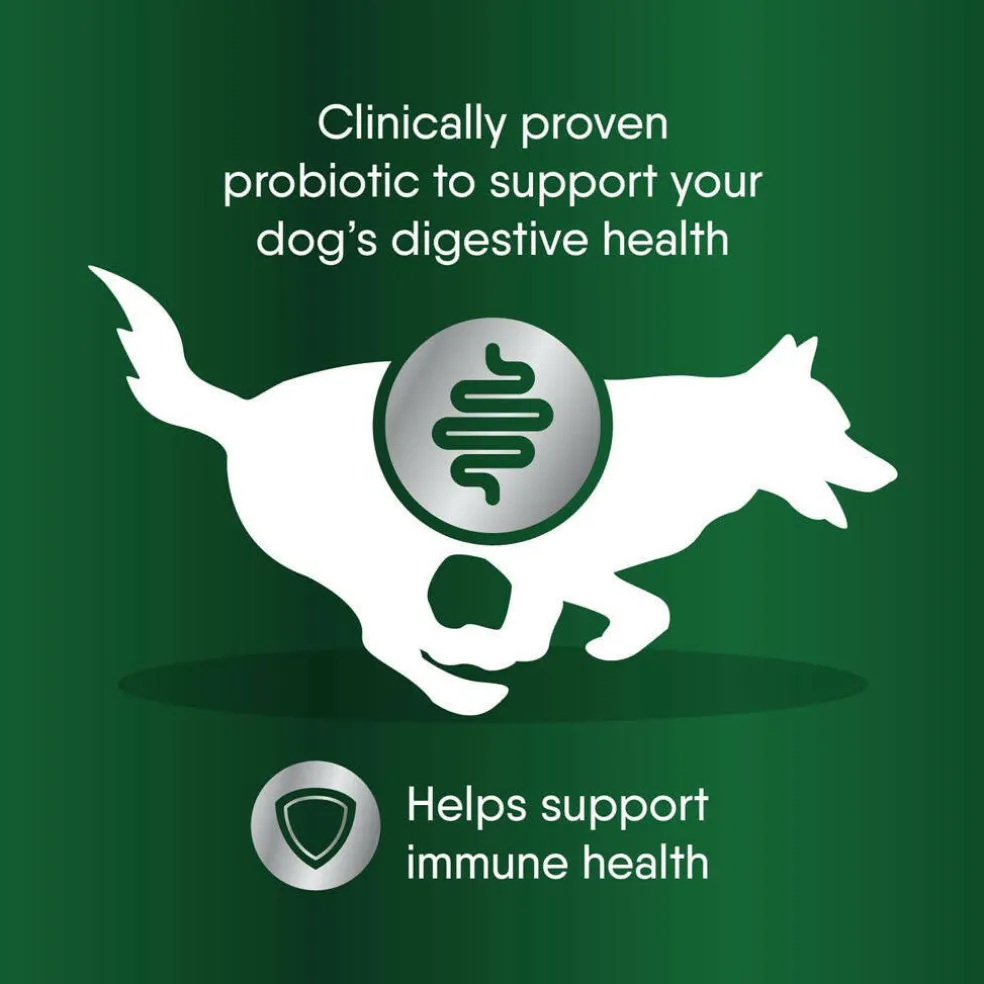 Greenies Digestive Probiotic Clinical Strength Supplements for Dogs