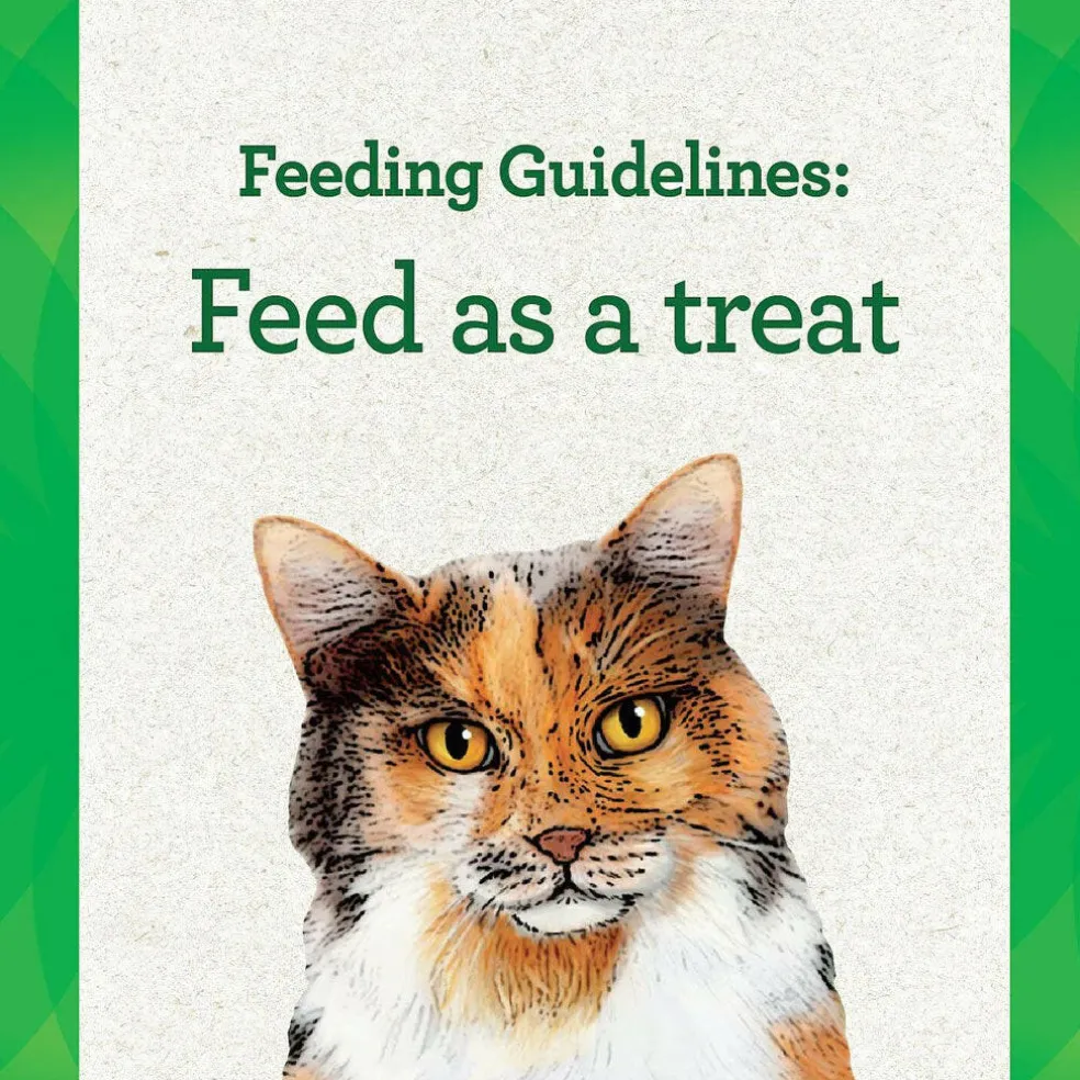Greenies Feline Pill Pockets Salmon Flavor, 1.6-oz
