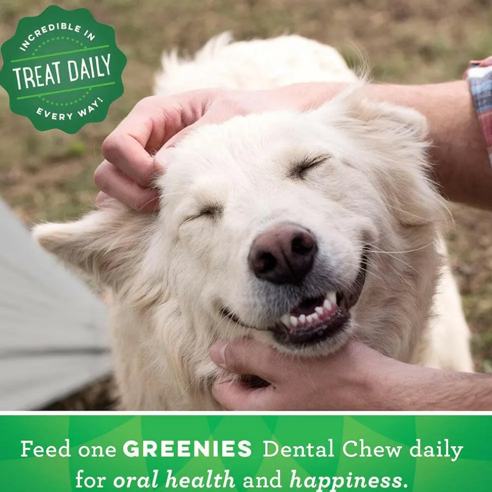 GREENIES Fresh Mint Petite Dental Treats, 20 count