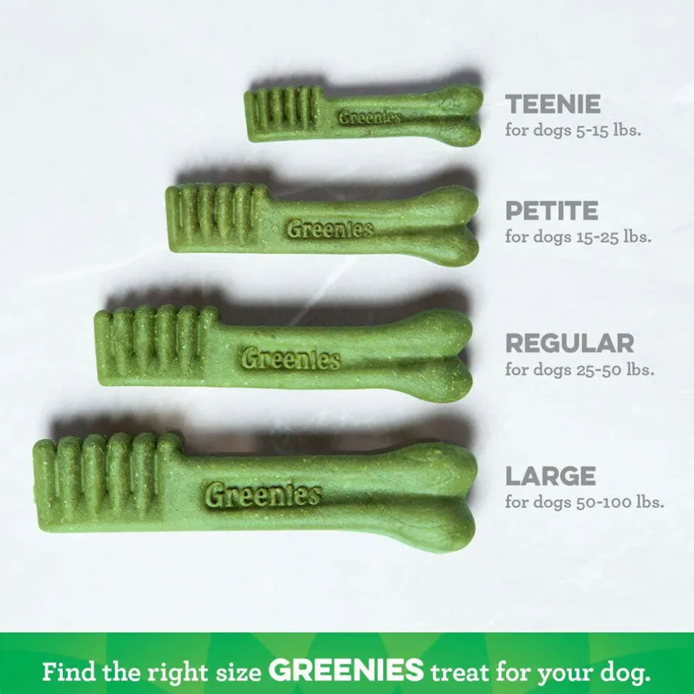 GREENIES Fresh Mint Regular Dental Treats, 12 count
