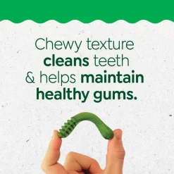 Greenies Regular Puppy Dental Dog Treats