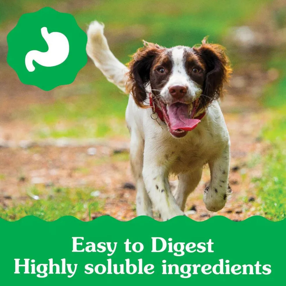 Greenies Regular Puppy Dental Dog Treats