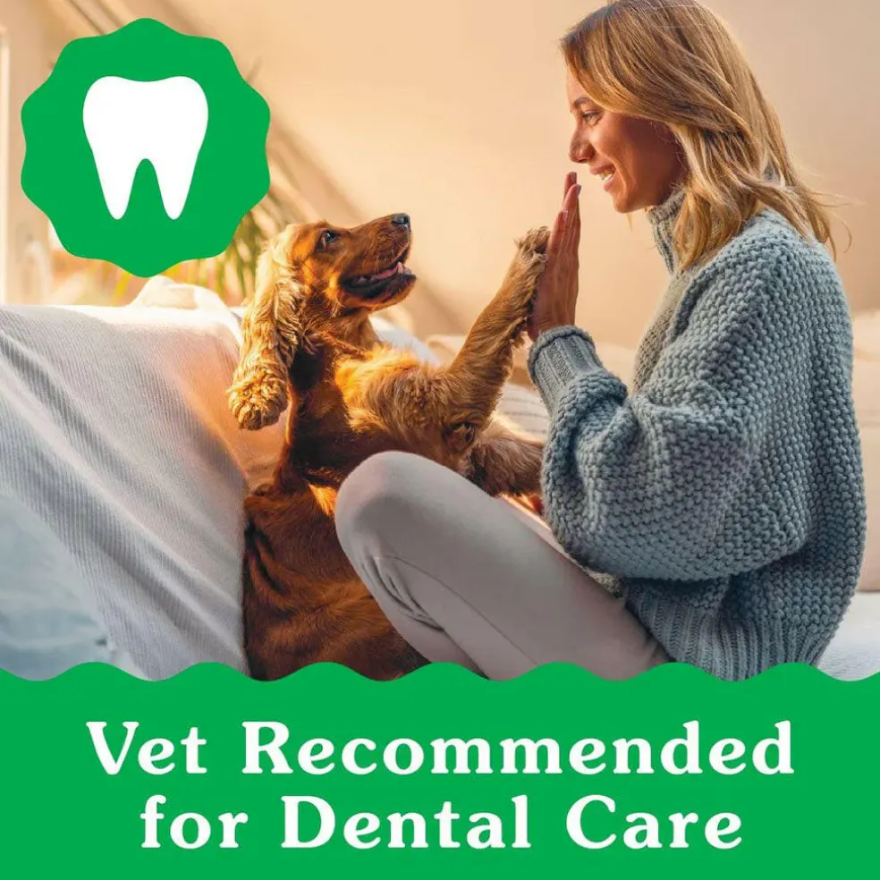 Greenies Regular Puppy Dental Dog Treats
