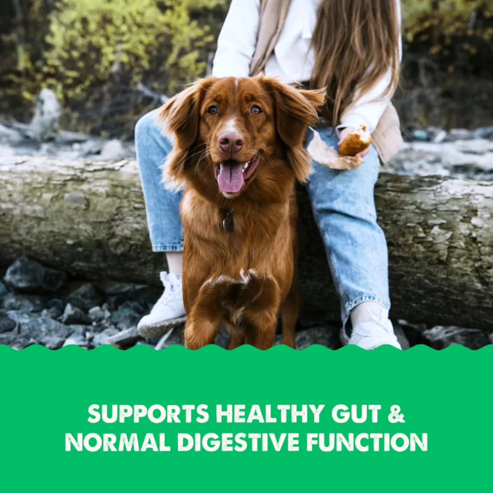 Grizzly Gut Health Liquid Supplement for Dogs & Cats