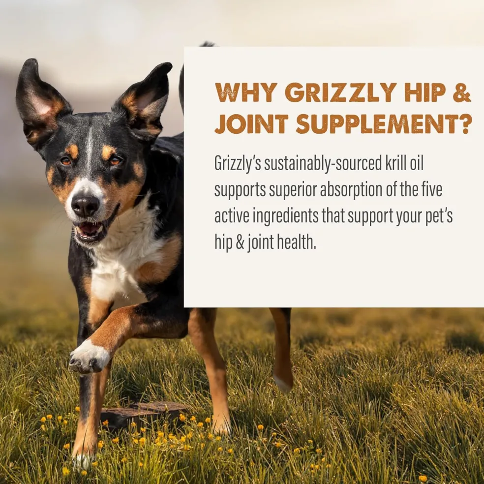 Grizzly Joint Aid Supplement For Dogs & Cats