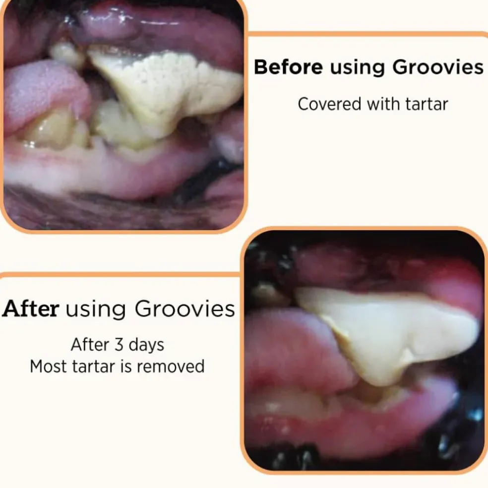 Groovies Senior Dental Chews for Extra Large Dogs 51-100+ lbs