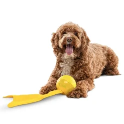 GURU Bonanza Ball Dog Toy, Medium