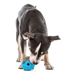 GURU Busy Ball Treat Dispenser Dog Toy, Medium