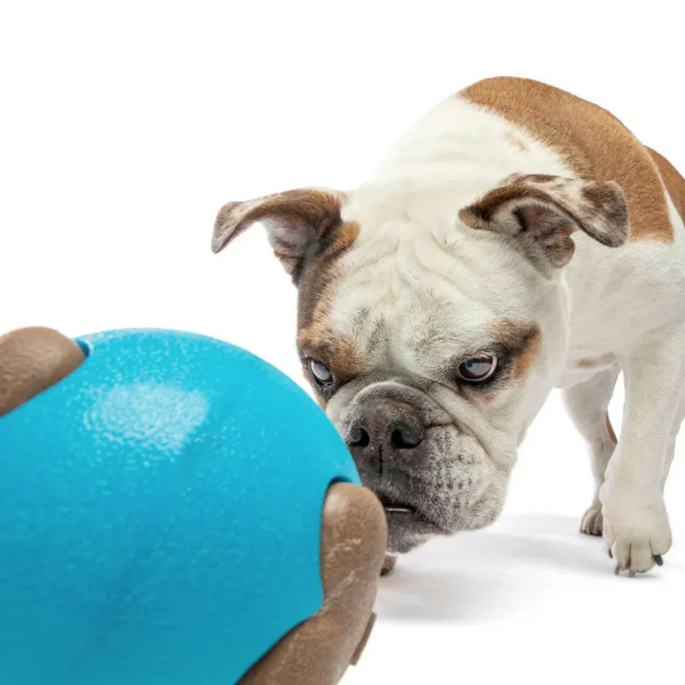 GURU Busy Ball Treat Dispenser Dog Toy, Medium