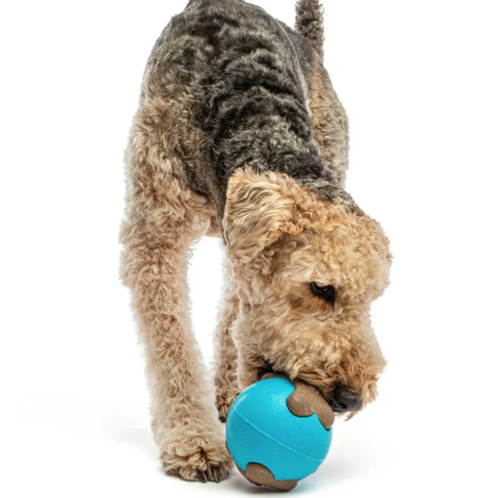 GURU Busy Ball Treat Dispenser Dog Toy, Medium