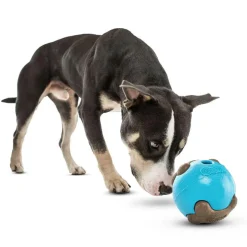 GURU Busy Ball Treat Dispenser Dog Toy, Medium