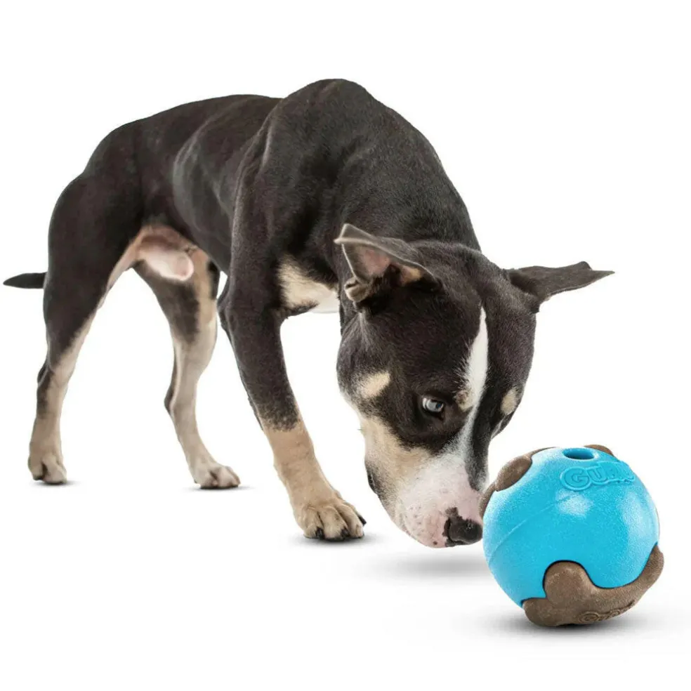 GURU Busy Ball Treat Dispenser Dog Toy, Medium