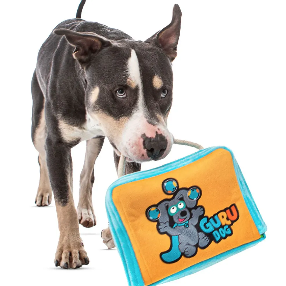 GURU Fun Box Plush Puzzle Bag Dog Toy