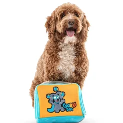 GURU Fun Box Plush Puzzle Bag Dog Toy