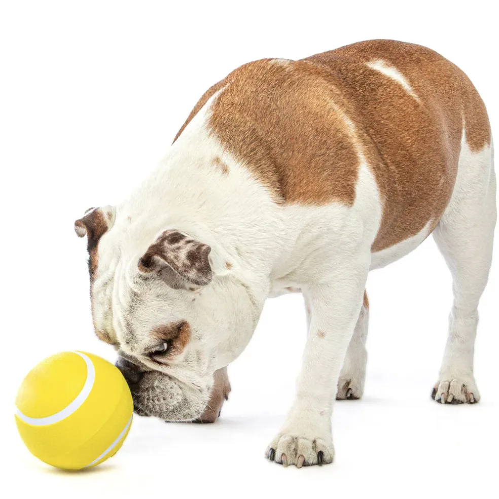 GURU Giggling Tennis Ball Dog Toy, Large