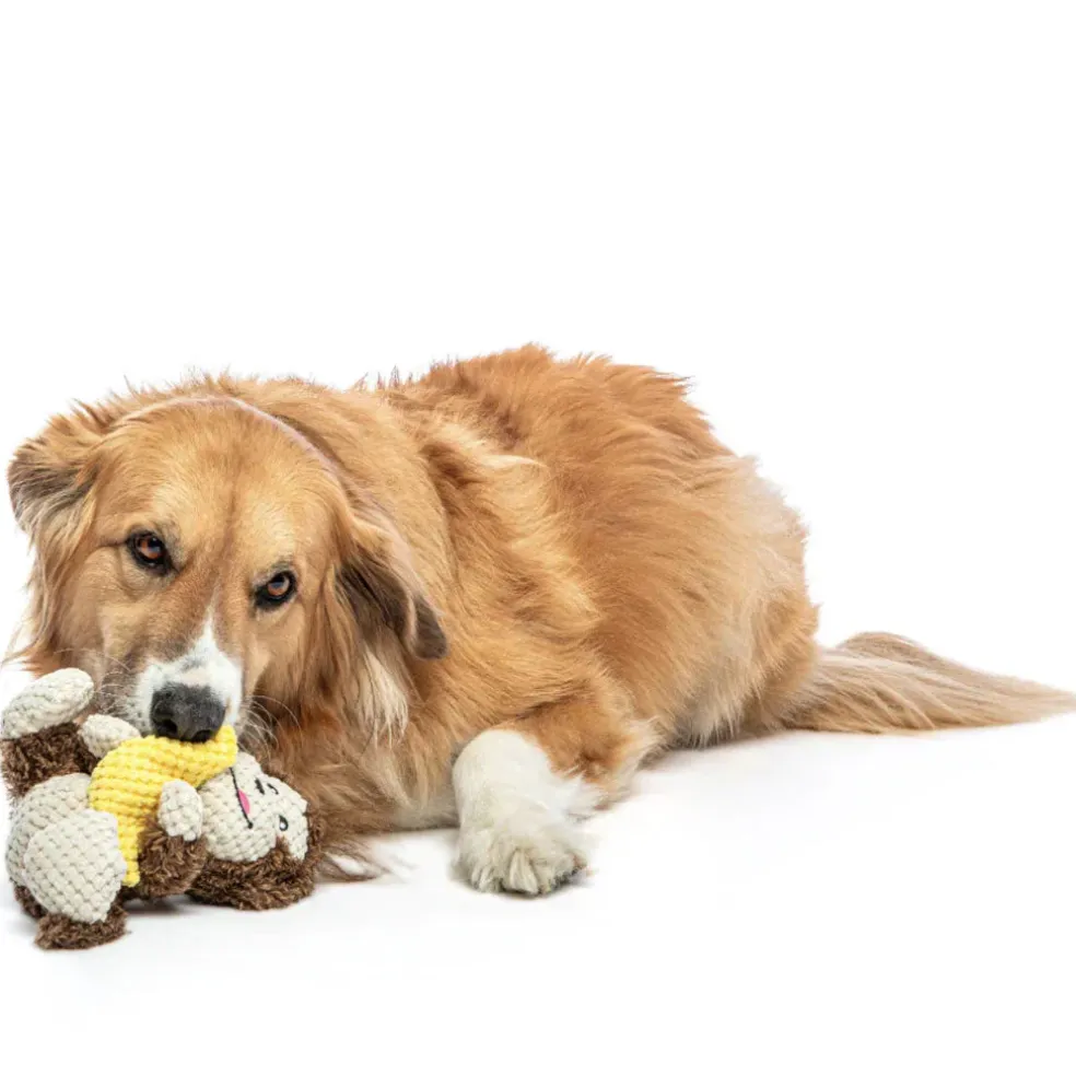 GURU Loveys Dog Toy, Monkey, Medium