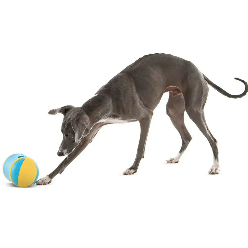 GURU Rock 'N Treat Dispenser Dog Toy, Medium
