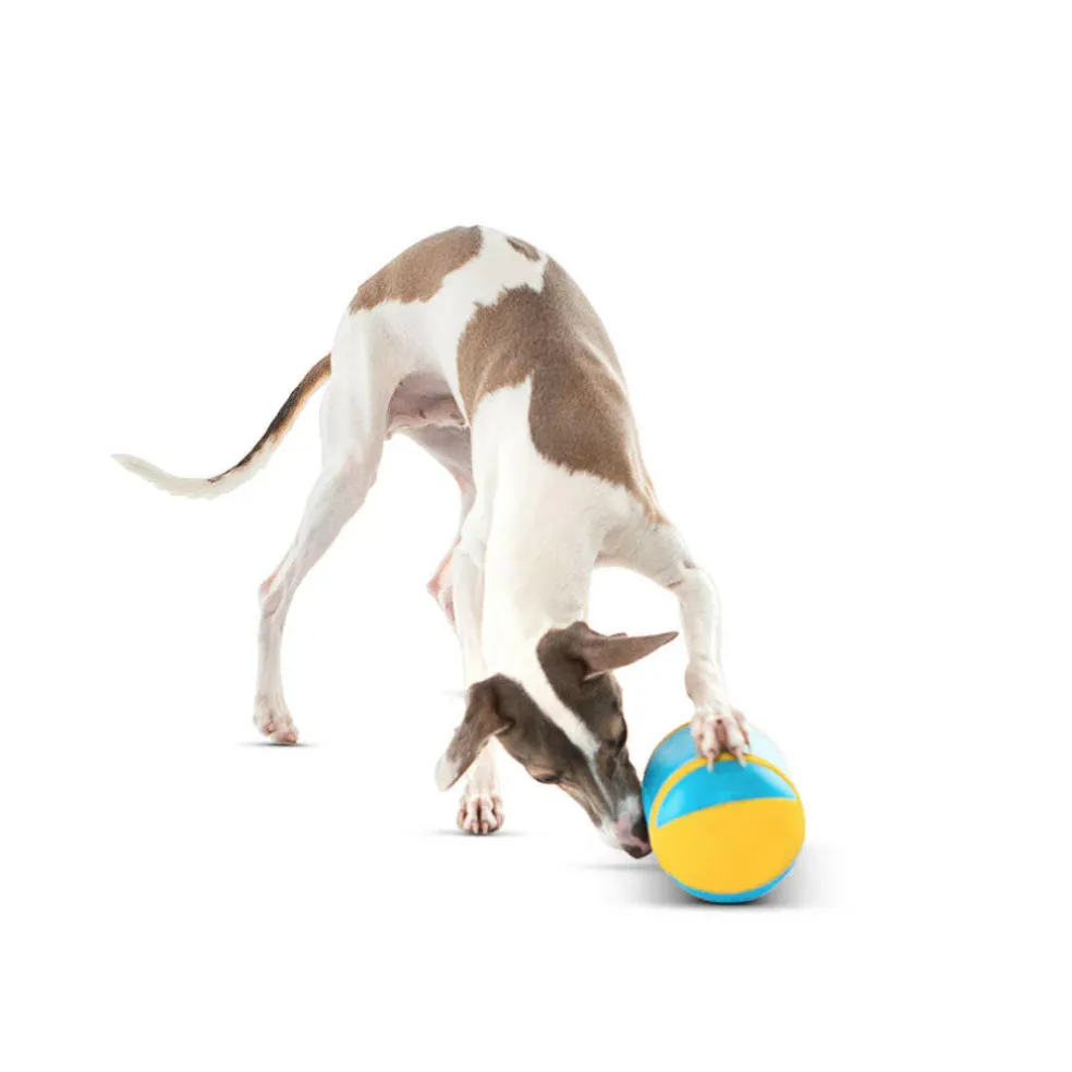 GURU Rock 'N Treat Dispenser Dog Toy, Medium