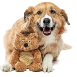 GURU Soft Scents Plush Dog Toy Hedgehog, Medium