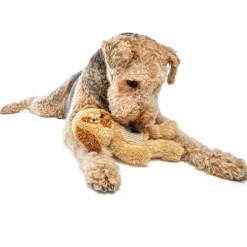 GURU Soft Scents Plush Dog Toy Dog, Medium