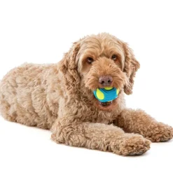 GURU Tennis Max Ball Dog Toy, Medium