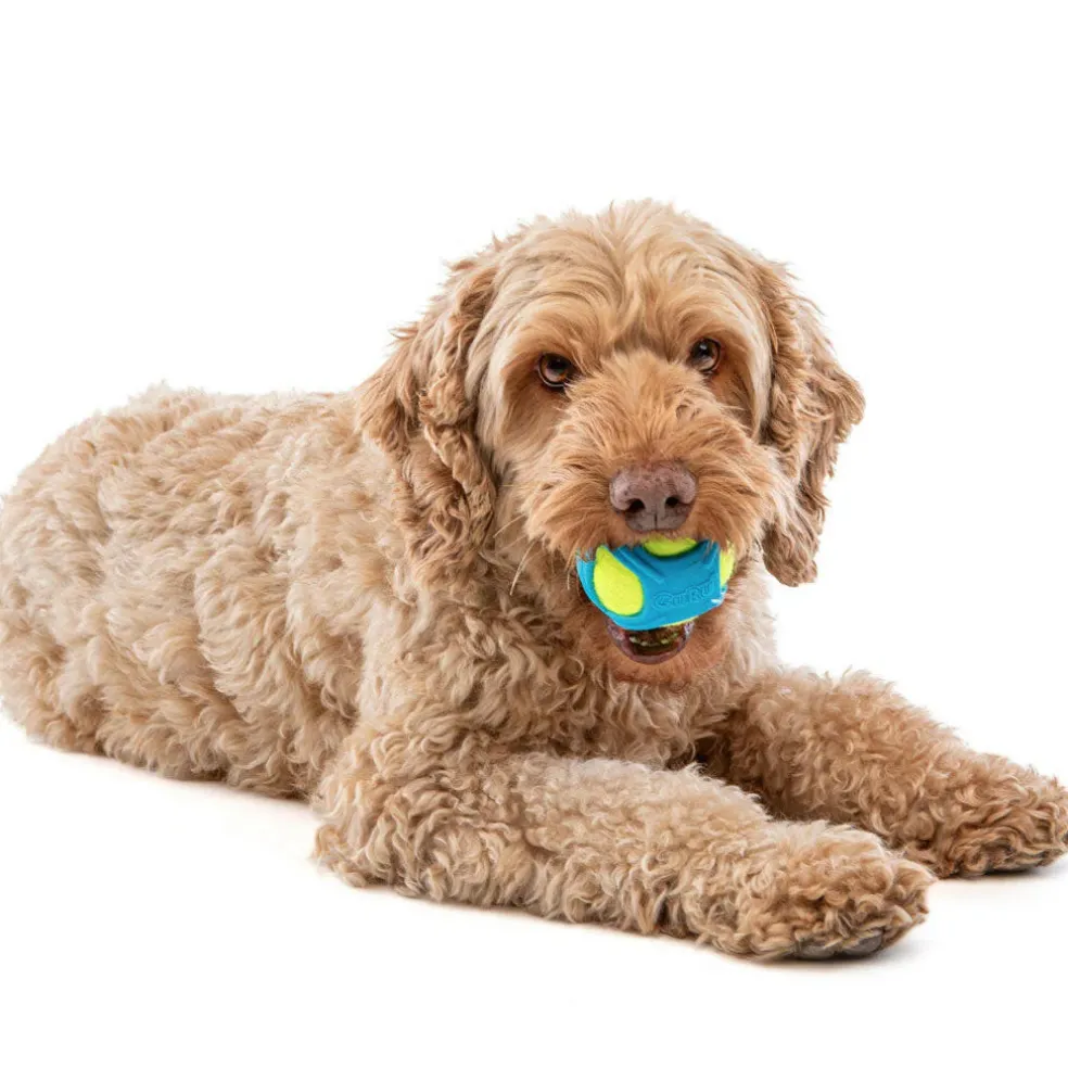 GURU Tennis Max Ball Dog Toy, Medium